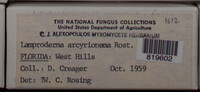 Image Associated With the Occurence